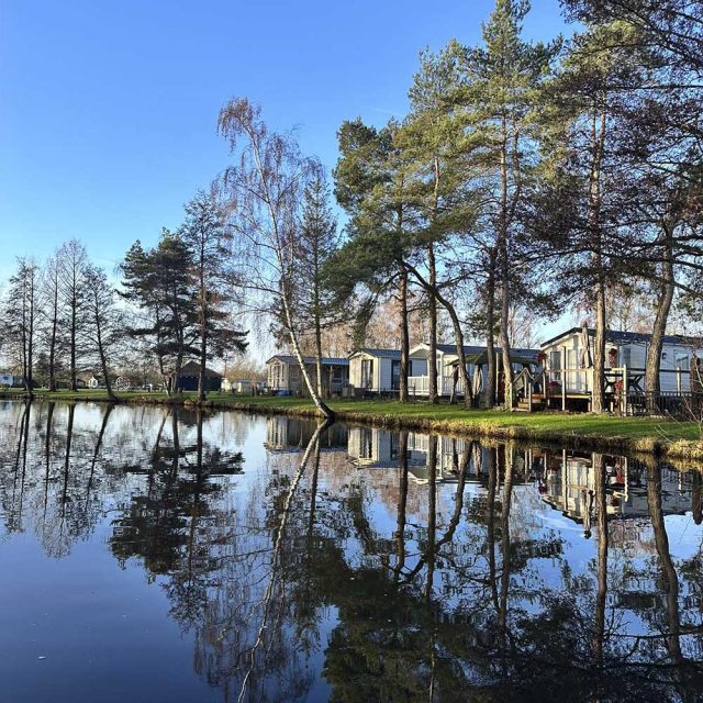 Camping Papillon Kinrooi